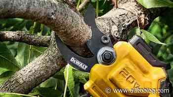 Clean up your yard in no time thanks to this 31% off DeWalt deal