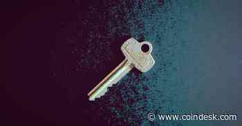 Must Bitcoin ‘Drop Ideals’ of Decentralization to Achieve Mass Adoption?