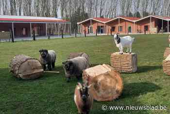 Boerderij Zevenbergen zet de staldeuren open