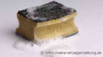 Studie enthüllt: Spülschwämme tragen Milliarden an Bakterien – so lange sollten sie genutzt werden