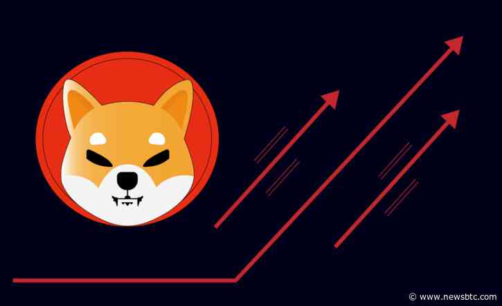 Shiba Inu To Rally 100% To $0.000062? Analyst Reveals Why This Is Possible
