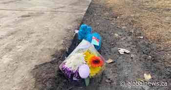 B.C. boy identified as victim of fatal Edmonton dog attack