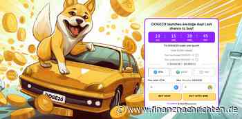 Nach Dogwifhat Hype: Trader weichen jetzt auf diese beiden Meme Coins aus