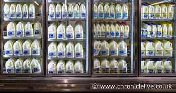 Expert warns to avoid storing milk in this part of the fridge to make it last longer
