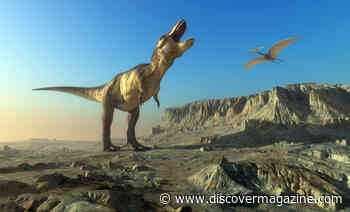 The First Known Dinos Grew at a Rapid and Continuous Rate