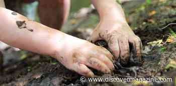 What Is Dirt? Check Out The Whole Wriggling World Alive In The Ground Beneath Our Feet