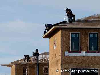 Opinion: Alberta needs two-pronged approach to attract skilled workers