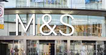 Food inflation plunge boosts supermarket sales as Ocado and Marks & Spencer benefit most