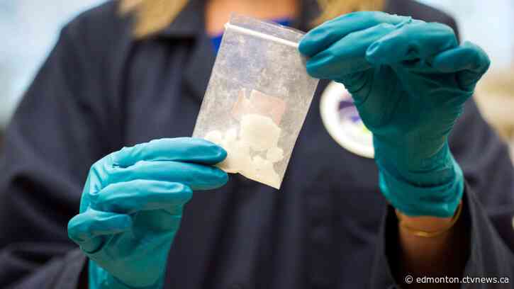 How much have drug-poisoning deaths in Alberta really gone down?