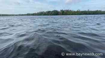 Organization presses Bradenton about sewage spills into Manatee River