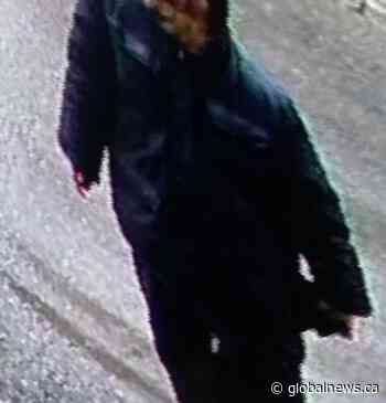 Man in life-threatening condition after stabbing at Mississauga plaza: police