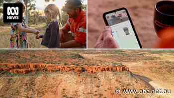 A million acres fully wired: How this outback cattle station is embracing technology