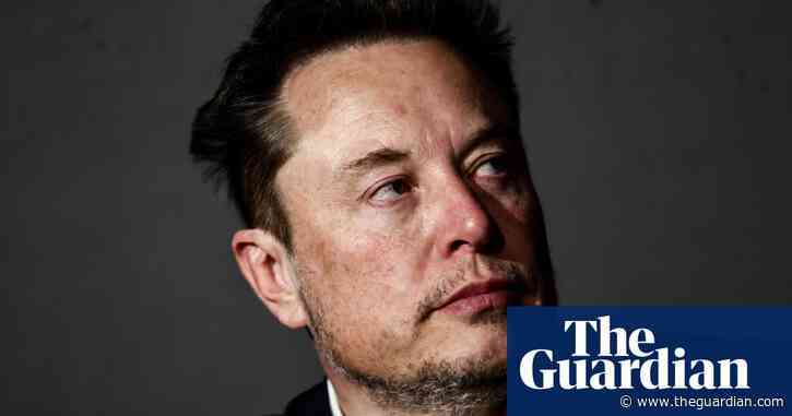 How much is Elon Musk to blame for Tesla sales slip?
