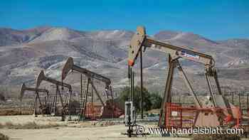 Brent: Ölpreis steigt und steigt – dabei fördern mehrere Opec-Länder mehr, als sie sollen