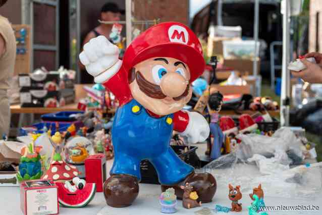 Rommelmarkt op parking ’t Kooike