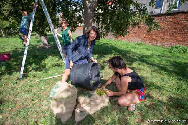 Ecologische moestuin Moerbei zoekt nog deelnemers