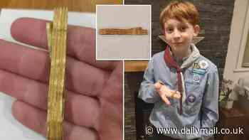 Talk about striking gold! Boy, 12, discovers a 2,000-year-old gold Roman bracelet in a field in Sussex