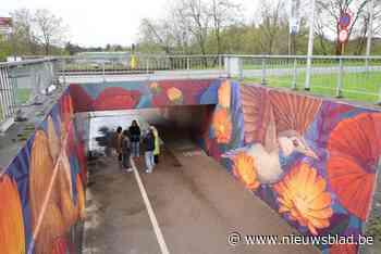 1 km plakband voor kunstwerk van 48 meter onder twee bruggen in Eisden