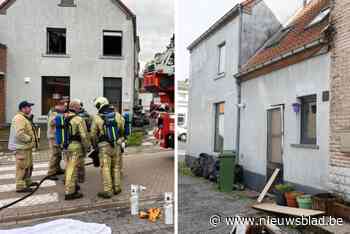 Twee poezen overleefden woningbrand waarbij vijftien soortgenoten het leven lieten: “We hebben de zieltogende beestjes zuurstof toegediend”