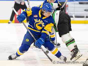 Pivotal Game 4: Blades grab 3-1 series lead with 4-1 win over Raiders in P.A.