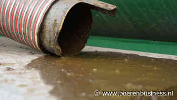 Zakkende mestprijzen zijn nog eind weg