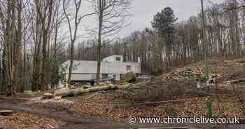 Tree surgeon working on former Durham Light Infantry Museum redevelopment 'faced intimidation and abuse'