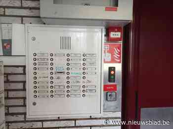 Politie identificeert lastpakken woonwijk Rozemaai: “Ze bedreigen ons met stokken en slaan op de deuren van ons appartement”