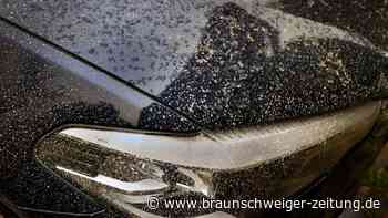 Saharastaub über Deutschland: Das sollten Sie beachten