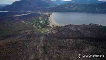 Canada's wildfires blamed for rise in global loss of tree cover outside of tropics