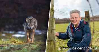 Experts voorspellen met computermodel opzienbarende opmars wolf: ‘We moeten ingrijpen’