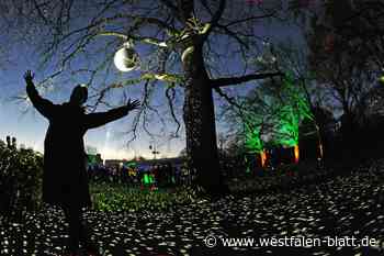 Das erwartet die Besucher bei den Bielefelder Nachtansichten