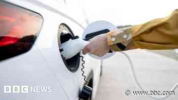 Electric cars lose share as private sales fall