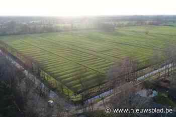 Nieuwe wandeling over vloeiweiden brengt de geschiedenis weer tot leven in een app