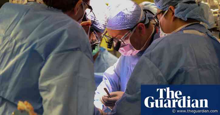 ‘A new beginning’: US man who received pig kidney transplant returns home