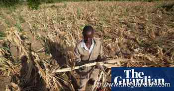 Zimbabwean president declares state of disaster due to drought