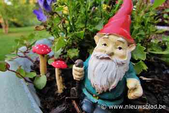 Twintiger takelt vrouw toe met tuinkabouter: “Niet mee geslagen, maar gegooid”