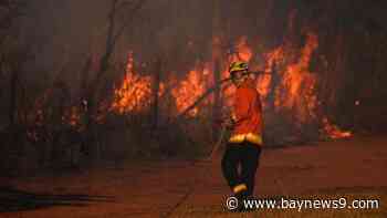 Deforestation rates are increasing in the tropics, decreasing in South America, new report says