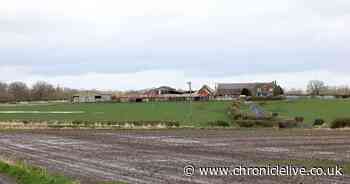 Plans submitted for demolition of North Tyneside farm to make way for new homes