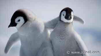 German state ditches Microsoft for Linux and LibreOffice