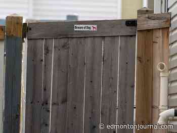 Attorney: Dogs attacked woman client at Edmonton home where B.C. boy died