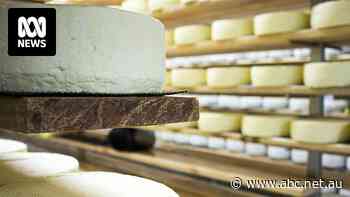 Shoppers turning to alternative cheeses as supermarket prices soar