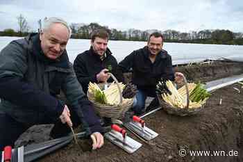 Nasser Start in die Spargelernte