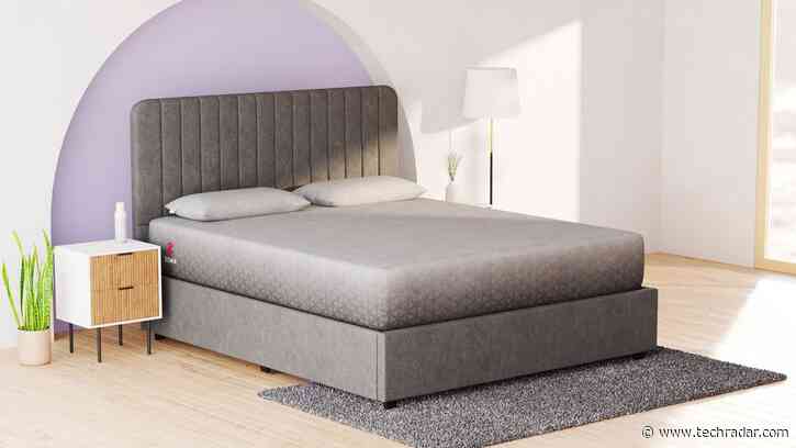 Zoma Livingstone bed frame review