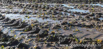 Kans op kletsnat voorjaar geeft markt andere tendens
