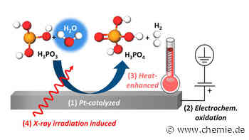 Brennstoffzellen: Oxidationsprozesse von Phosphorsäure aufgeklärt