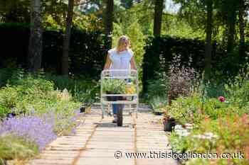 5 of the best garden centres to visit in South East London