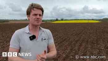 How relentless rain is affecting farms and businesses