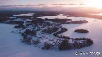 Pet rescues sending supplies and support as Nibinamik battles canine parvovirus outbreak