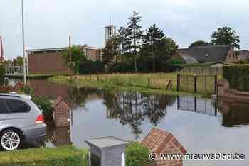 Pelt wil Boseind voorbereiden op klimaatverandering: “Veel verharding en riolering kan hevige regen niet slikken”