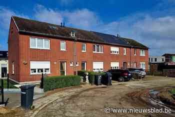 Politie pakt verdachte (20) van schietpartij in Willebroek op: “Hij leefde ondergedoken”